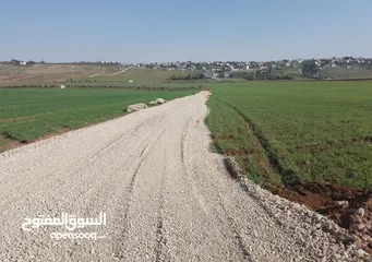  5 مادبا ماعين غرابيات ام راسين قطعة ارض زراعية بمنطقة هادئة و مميزة بمساحة 5300 م واصل الخدمات