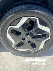  5 دولفن 2022 اقل سعر بالمملكه وانظف حبه