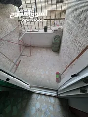  5 شقة مفروشة في منطقة تلاع العلي اعلان رقم (SL2124)