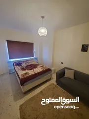  5 مطلوب شريك سكن لشقة مفروشة في عبدون