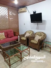  20 بيت مزرعة (ترخيص سكن) مزروعة شجر مثمر مع بير في منطقة الاغوار الوسطى ظهرة الرمل