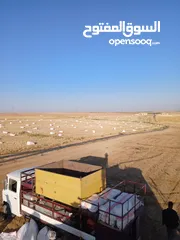  4 تبن قمح للبيع عترابو