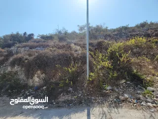  1 حصة في منطقة المشتل