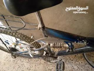  10 بسكاليت للبيع  البسكيلت بحالة جيدة جدا الموقع قرية أبو نصير جنط 26 البسكيلت امريكي