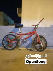  2 كوبرا حالته ممتاز جدا