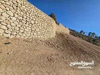 13 قطعة ارض للبيع قرب جامعة فيلادلفيا