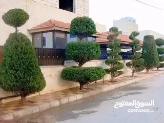 6 نقدم جميع خدمات المنازل والحدائق والأراضي الزراعية داخل إربد بأسعار مناسبة وفي متناول للجميع