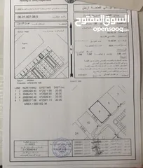  1 ارضين شبك زاوية للبيع في غيل الشبول الجديدة