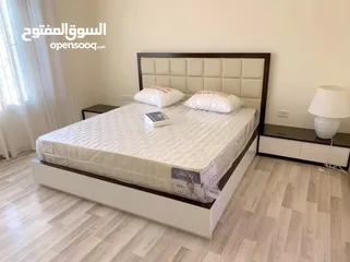  14 عبدون شقة مفروشة فخمة مع رووف ( دوبلكس ) للإيجار السنوي