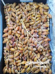  4 مسوق تمور داخل طرابلس