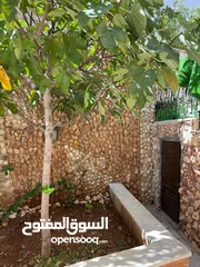  24 شقه في حي ابو الراغب 203 م مع حديقه مساحة 180 م تقريبا