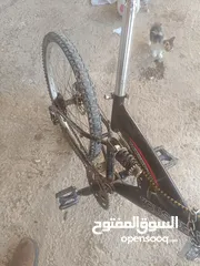  6 بسكليت جنط 24