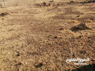  9 نمرتين ظهرة الرمل بسعر مغري جدا اطلالة غربية كاملة تصلح ل شالية فخم