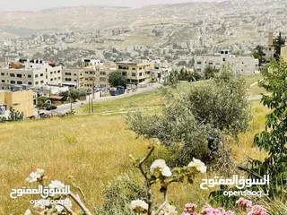  10 قطعة ارض للبيع في صويلح الكمالية