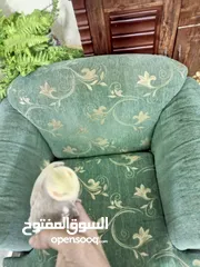  3 عصفور كوكتيل عمره من 3-5 اشهر مو مبين ذكر ولا انثى