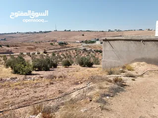  28 لقطة ؛ أرض زراعية مع غرفة على حدود الطفيلة والكرك ، تصلح للاستثمار كمزرعة سياحية أو منتجع سياحي