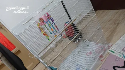  1 10 Kd  cage for animals