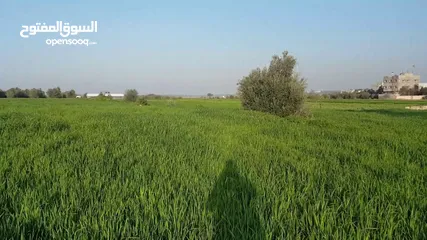  1 ارض للبيع الصريح شارعين