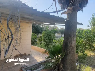  6 بيت ريفي مع ارض في منطقة هادئة وخلابة قريبة من الخدمات يصلح للاسثمار