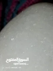  14 حجاره حاظنه للألماس وحجر السليماني  وغيرها تشرح الصدر وتزيح الهم والعم عنك