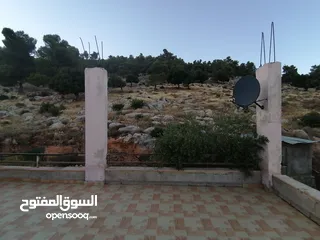  29 بيت ريفي للبيع في جرش - ثغرة عصفور