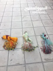  2 شبكة وسنارة