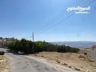  2 ارض مميزه للبيع خلف قصر الاميره بسمه