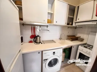  9 Furnished Apartment to Rent 70sqm ( Property 19520 )-174831240