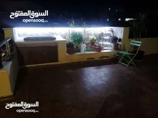  8 شقة مفروشة للايجار