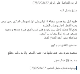  7 طيرة درة ام فراخ اقرأ الوصف، كوكتيل فيشر حب جنة كنار كاسكو جوز انتاج فراخ كنيور عصفور كويكر جرين شيك