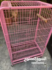  1 قفص ببغاء / طيور / قطط