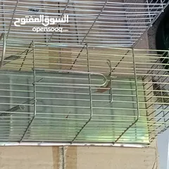  22 فخ مصيدة و قفص    فئران و جرادين و سحالي فوريه خلال دقائق فار فأر