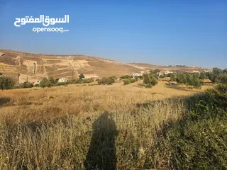  3 ارض في منطقة الكمشة 526 متر بتجنن