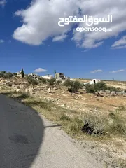  3 ارض زراعية داخله التنظيم