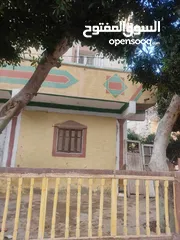  4 منزل للبيع بقرية الكرنك العامريه
