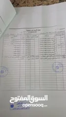  1 أرض للبيع في تل نابلس