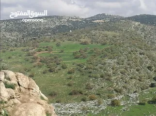  11 قطع اراضي في عجلون للاستثمار