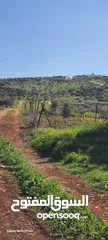 2 نمرة ارض 700 متر