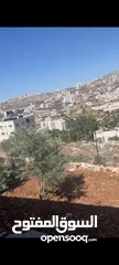  1 ارض للبيع دونم و 600, متر واصل كل الخدمات ع الشارع