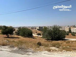  10 ارض في شفا بدران مساحتها 808 مقابل  مدارس البنفسج شارع سهيل بن قيس