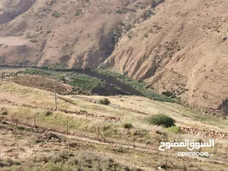  10 قطعة أرض مميزة للبيع في السلط الصبيحي قصيب مرتفعة ومطلة بسعر مغري