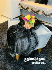  3 قنفات للبيع