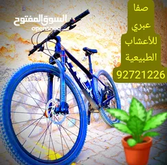  10 مشروع محل اعشاب  Natural Herbs Shop