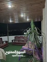  10 مزرعه للبيع