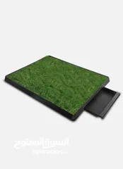  16 فرينش تيرير صغير عمره 4 شهور