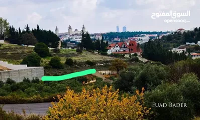  7 ارض للبيع دابوق أراضي شمال عمان ام شومره