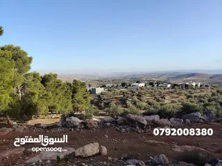  22 فرصه للشراء ارض مشجره جاهزه داخل التنظيم ومخدومه شارع معبد خدمات كامله ومطله