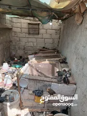  5 فرخات عمر شهر ونص مطعمات جاهزات سراحات صحه وعافيه ولله الحمد