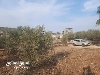  6 حصة 700 متر بالمسقوفة