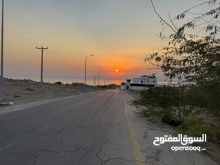  4 أرض مميزة مطلة على البحر الميت مباشرة